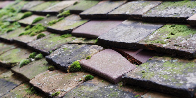 Plungar roof repair costs